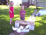 pigeon supplies plus
