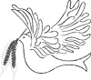dove with branch