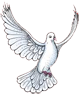 Wings of Love