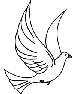 white bird flying
