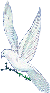 Doug's White Birds