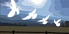 white doves