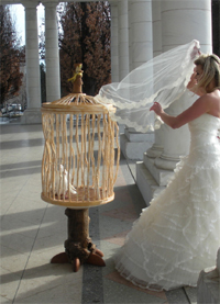 Colorado dove release