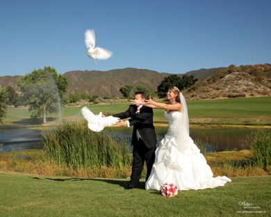 wedding release